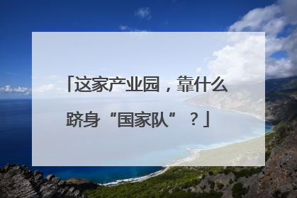 这家产业园，靠什么跻身“国家队”？