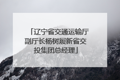 辽宁省交通运输厅副厅长杨树履新省交投集团总经理