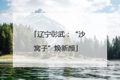 辽宁彰武：“沙窝子”焕新颜