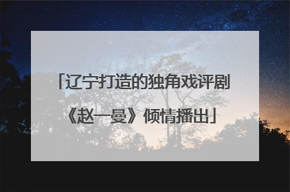 辽宁打造的独角戏评剧《赵一曼》倾情播出