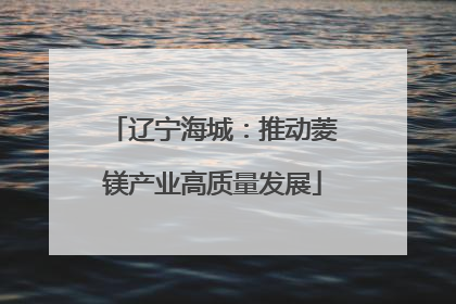 辽宁海城：推动菱镁产业高质量发展