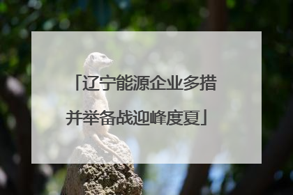 辽宁能源企业多措并举备战迎峰度夏