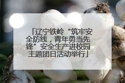 辽宁铁岭“筑牢安全防线，青年勇当先锋”安全生产进校园主题团日活动举行