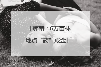 辉南：6万亩林地点“药”成金