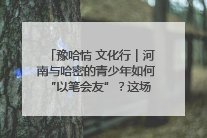 豫哈情 文化行｜河南与哈密的青少年如何 “以笔会友”？这场书画展藏着答案