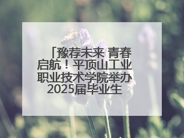 豫荐未来 青春启航！平顶山工业职业技术学院举办2025届毕业生夏季招聘会