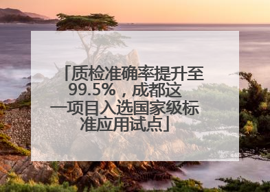 质检准确率提升至99.5%，成都这一项目入选国家级标准应用试点