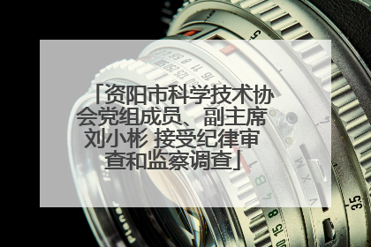 资阳市科学技术协会党组成员、副主席刘小彬 接受纪律审查和监察调查