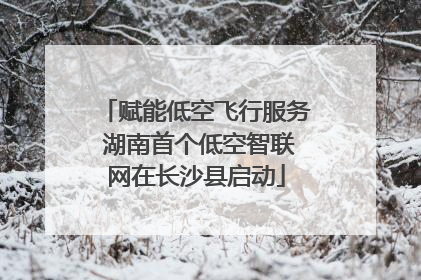 赋能低空飞行服务 湖南首个低空智联网在长沙县启动