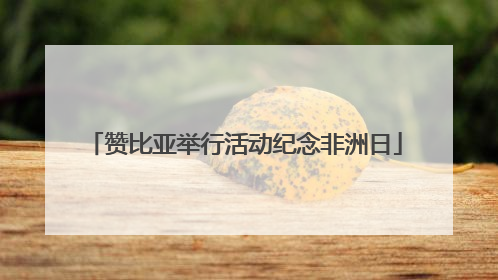 赞比亚举行活动纪念非洲日