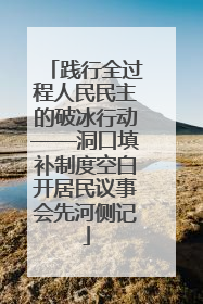 践行全过程人民民主的破冰行动——洞口填补制度空白开居民议事会先河侧记