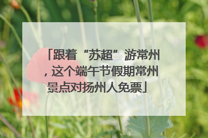 跟着“苏超”游常州，这个端午节假期常州景点对扬州人免票