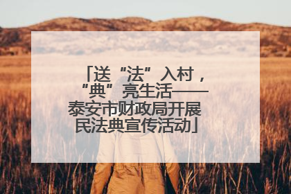 送“法”入村，“典”亮生活——泰安市财政局开展民法典宣传活动