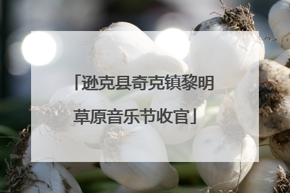 逊克县奇克镇黎明草原音乐节收官