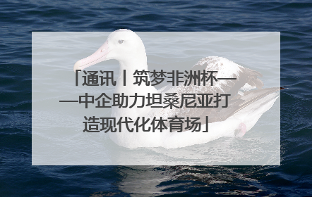 通讯丨筑梦非洲杯——中企助力坦桑尼亚打造现代化体育场
