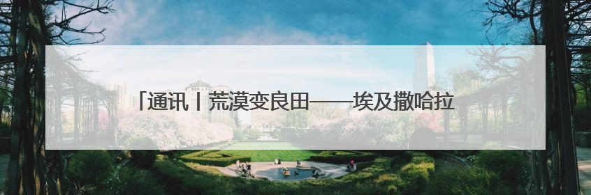 通讯丨荒漠变良田——埃及撒哈拉沙漠收获丰收背后的“中国技术”