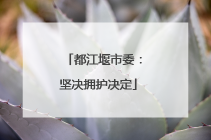 都江堰市委：坚决拥护决定