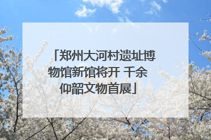 郑州大河村遗址博物馆新馆将开 千余仰韶文物首展