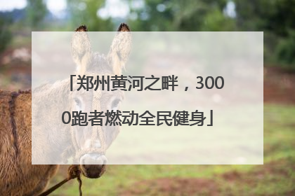 郑州黄河之畔，3000跑者燃动全民健身