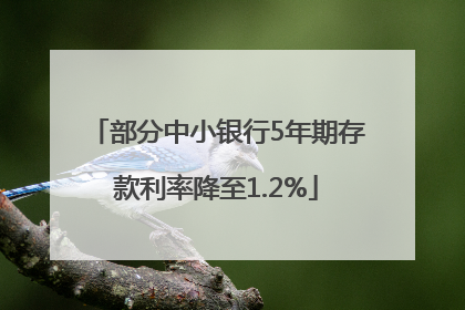 部分中小银行5年期存款利率降至1.2%