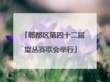 郫都区第四十二届望丛赛歌会举行