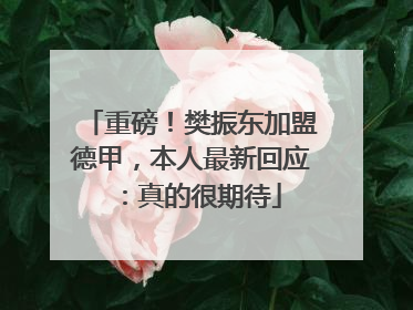 重磅！樊振东加盟德甲，本人最新回应：真的很期待