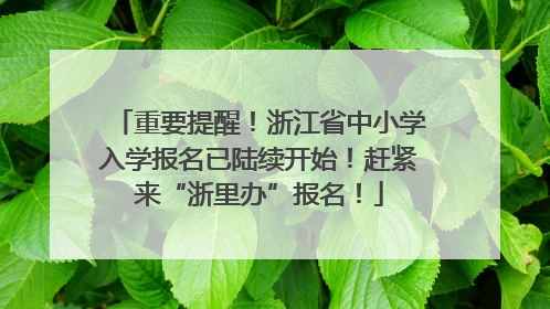 重要提醒！浙江省中小学入学报名已陆续开始！赶紧来“浙里办”报名！