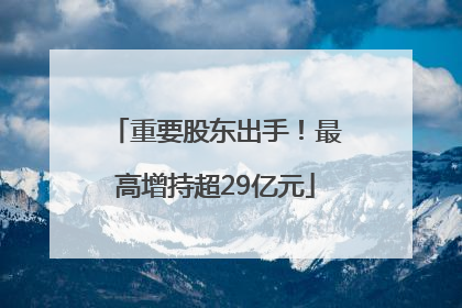 重要股东出手！最高增持超29亿元