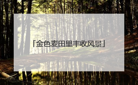 金色麦田里丰收风景