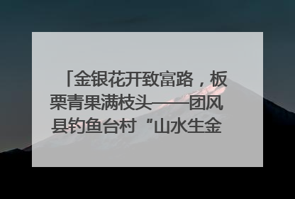 金银花开致富路，板栗青果满枝头——团风县钓鱼台村“山水生金”谱写共富新篇章
