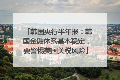 韩国央行半年报：韩国金融体系基本稳定，要警惕美国关税风险