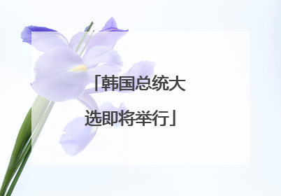 韩国总统大选即将举行