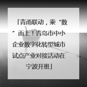 青甬联动，乘“数”而上！青岛市中小企业数字化转型城市试点产业对接活动在宁波开班