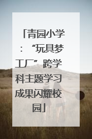 青园小学：“玩具梦工厂”跨学科主题学习成果闪耀校园