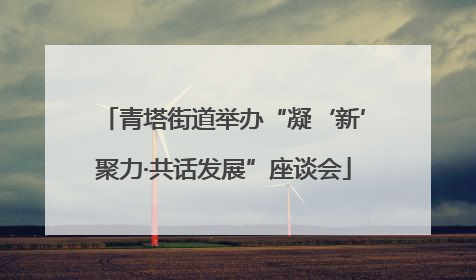 青塔街道举办“凝‘新’聚力·共话发展”座谈会
