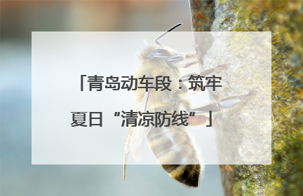 青岛动车段：筑牢夏日“清凉防线”