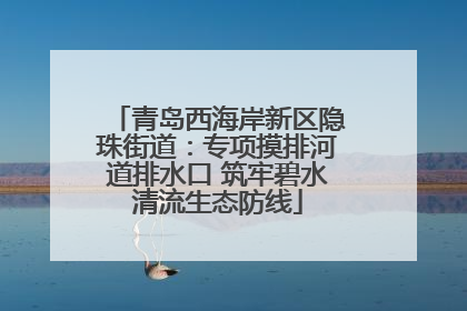青岛西海岸新区隐珠街道：专项摸排河道排水口 筑牢碧水清流生态防线