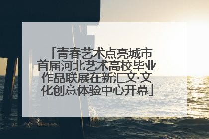 青春艺术点亮城市 首届河北艺术高校毕业作品联展在新汇文·文化创意体验中心开幕