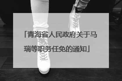 青海省人民政府关于马瑞等职务任免的通知