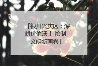 银川兴庆区：深耕价值沃土 绘制文明新画卷