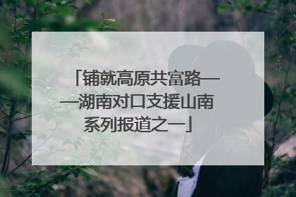 铺就高原共富路——湖南对口支援山南系列报道之一
