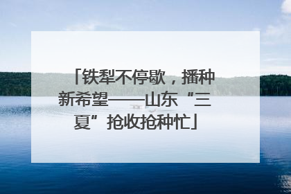 铁犁不停歇，播种新希望——山东“三夏”抢收抢种忙