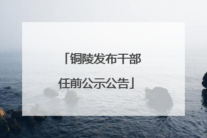 铜陵发布干部任前公示公告