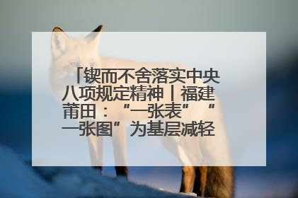 锲而不舍落实中央八项规定精神丨福建莆田：“一张表”“一张图”为基层减轻“数字负担”