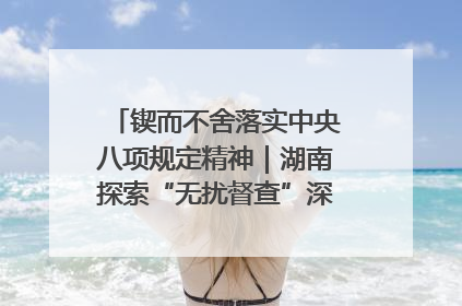 锲而不舍落实中央八项规定精神｜湖南探索“无扰督查”深化基层减负