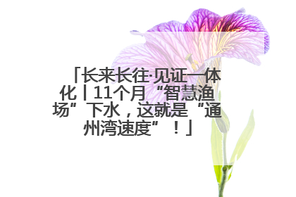 长来长往·见证一体化丨11个月“智慧渔场”下水，这就是“通州湾速度”！