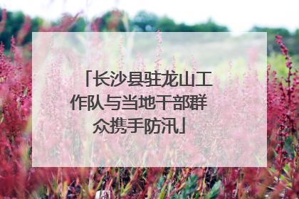 长沙县驻龙山工作队与当地干部群众携手防汛