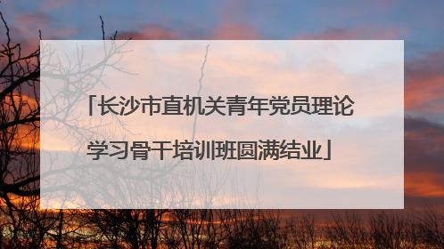 长沙市直机关青年党员理论学习骨干培训班圆满结业