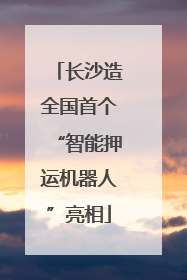 长沙造全国首个“智能押运机器人”亮相