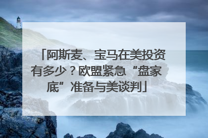 阿斯麦、宝马在美投资有多少？欧盟紧急“盘家底”准备与美谈判